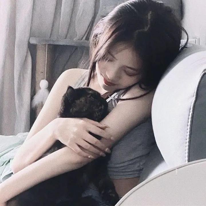16次日出 海报