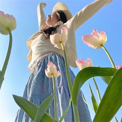 硝烟下的日常 海报